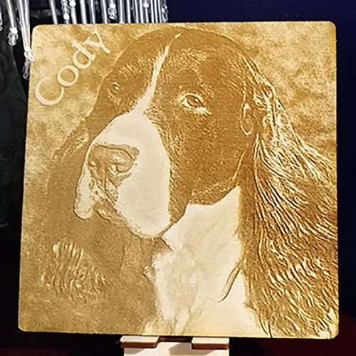 laser engraved pet portrait